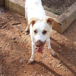 Io posso sporcarmi e non vengo punito