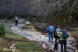 Parco Naturale Regionale Monti Simbruini