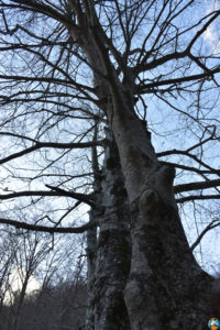 Parco Naturale Regionale Monti Simbruini