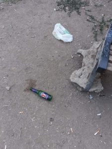 Il concetto moderno di area cani