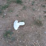 Il concetto moderno di area cani