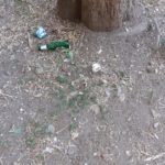 Il concetto moderno di area cani
