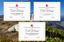 Formazione Ti Presento il Cane